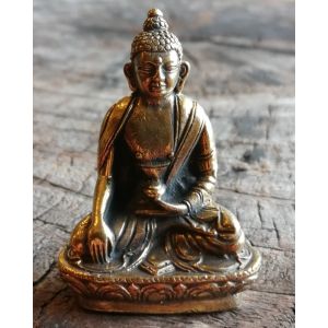 Buddha Shakyamuni Brass Statue