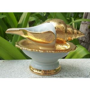 Gold Gilded Conch & Stand